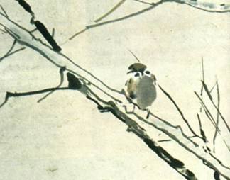 Truyen_ngGio_Chim.jpg (13887 bytes)